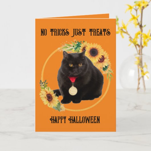 黒猫とひまわり、5" x 7" 折りたたみカード カード (黄色い花)