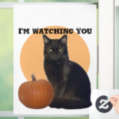 黒猫とオレンジカボチャ |あなたを見ている ウィンドウサイン (ホーム)