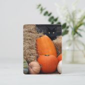 黒猫とカボチャのハロウィンパーティー 招待状 (スタンド正面)