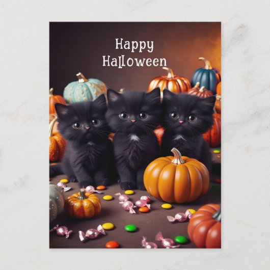黒猫とカボチャのハロウィーンの夜景 ポストカード (正面)