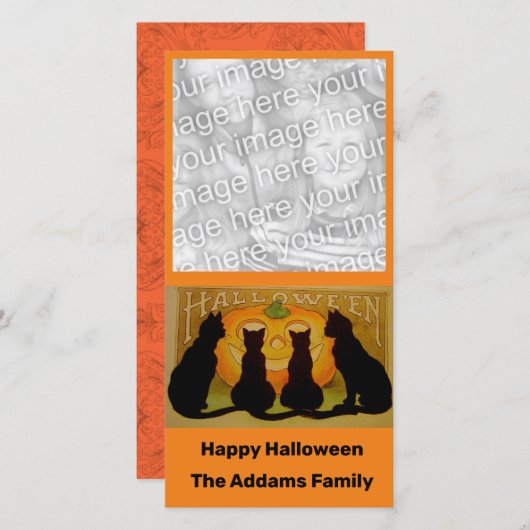 黒猫とカボチャヴィンテージハロウィン シーズンカード (正面/裏面)