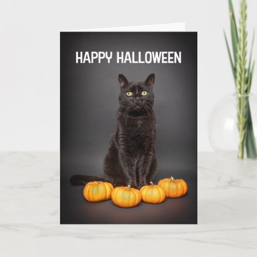 黒猫とパンプキン ハッピーハロウィン シーズンカード (正面)