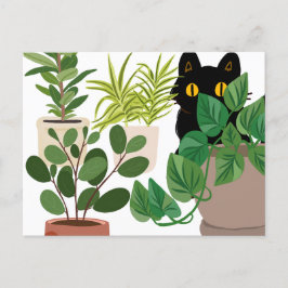黒猫と植物のポストカード シーズンポストカード