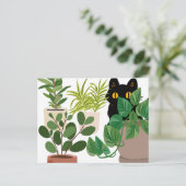 黒猫と植物のポストカード シーズンポストカード (スタンド正面)