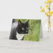 黒猫と白猫 カード (黄色い花)