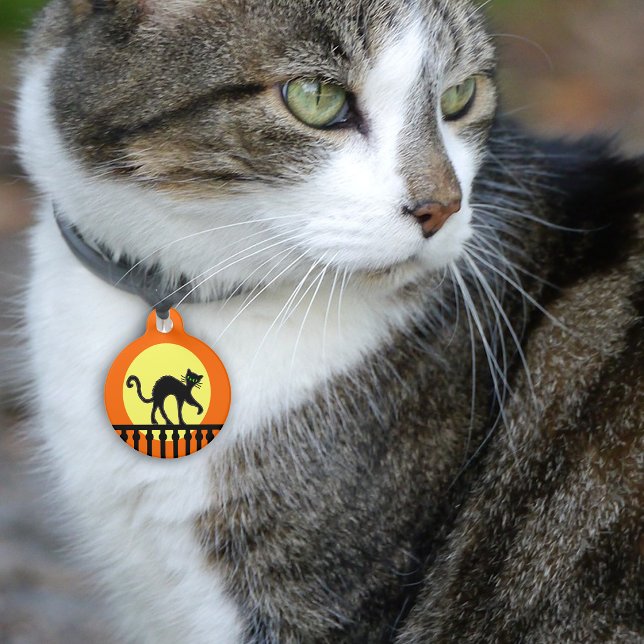 黒猫と黄色い月とフェンス ペット　ネームタグ (Black cat green eyes on fence full moon on orange pet name tag.)