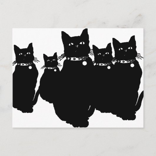 黒猫に気を付けろ ポストカード (正面)