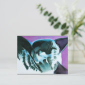 黒猫ねずみ葉書 シーズンポストカード (スタンド正面)