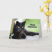 黒猫のかわいらし写真ハロウィーン カード (黄色い花)