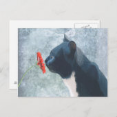 黒猫のくんくんかぐ花 ポストカード (正面/裏面)
