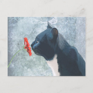 黒猫のくんくんかぐ花 ポストカード