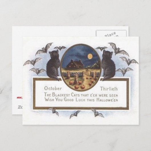 黒猫のこうもりの農場のカボチャ三角波の満月 ポストカード (正面/裏面)