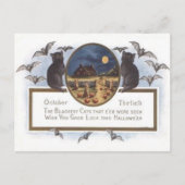 黒猫のこうもりの農場のカボチャ三角波の満月 ポストカード (正面)
