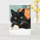 黒猫のグリーティングカード カード (黄色い花)