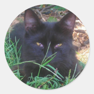 黒猫のシール ラウンドシール