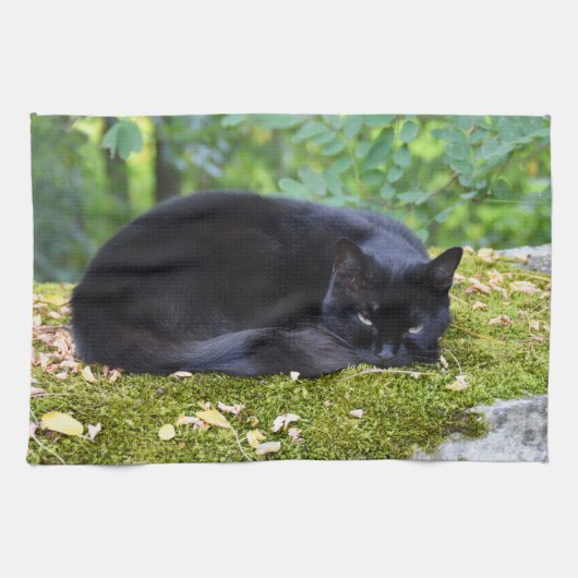 黒猫のスーティー キッチンタオル (横)