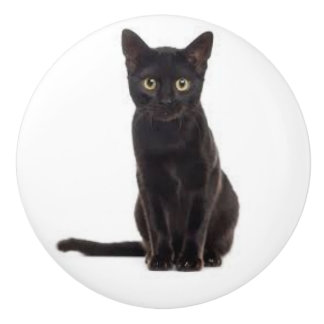 黒猫のセラミックプル セラミックノブ