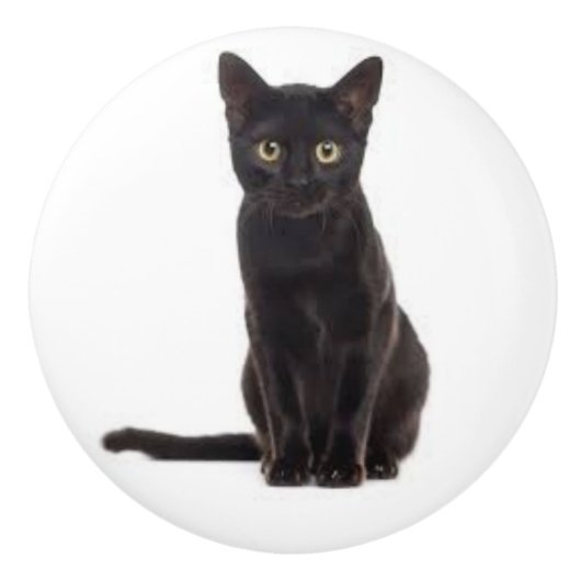 黒猫のセラミックプル セラミックノブ (正面)