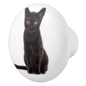 黒猫のセラミックプル セラミックノブ (右)