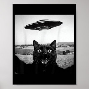 黒猫のセルフィーUFOエイリアン おもしろギフト 男性向け ポスター