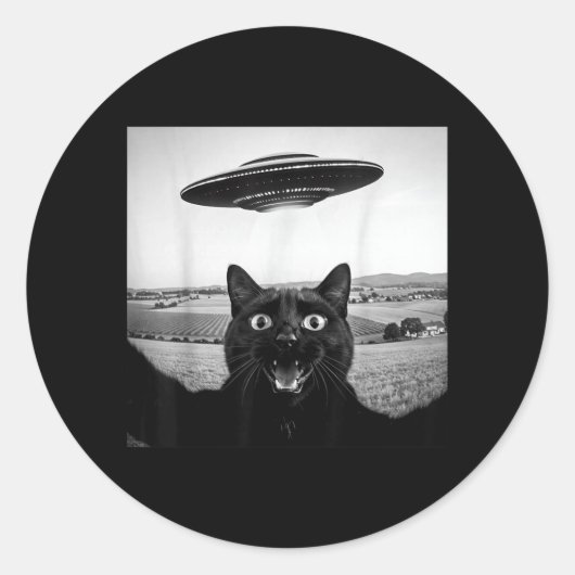 黒猫のセルフィーUFOエイリアン おもしろギフト 男性向け ラウンドシール (正面)