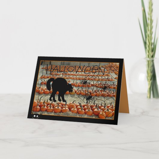 黒猫のハロウィンカード カード (正面)