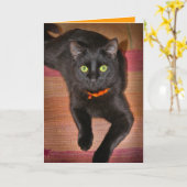 黒猫のハロウィンカード カード (黄色い花)