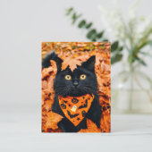 黒猫のハロウィンポストカード ポストカード (スタンド正面)
