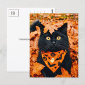 黒猫のハロウィンポストカード ポストカード (正面/裏面)