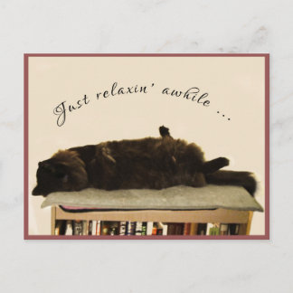 黒猫のバケーション ポストカード