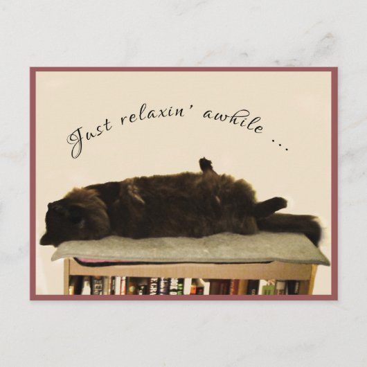 黒猫のバケーション ポストカード (正面)