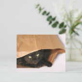 黒猫のバッグ ポストカード (スタンド正面)