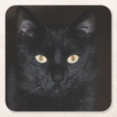 黒猫のポートレート スクエアペーパーコースター (正面)