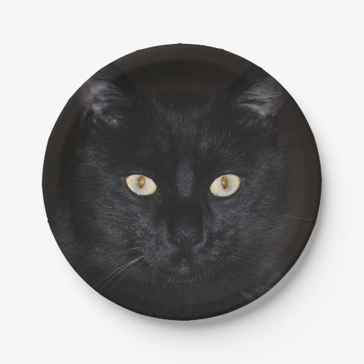 黒猫のポートレート ペーパープレート (正面)