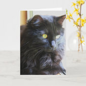 黒猫のメッセージカード、中ブランク カード (黄色い花)