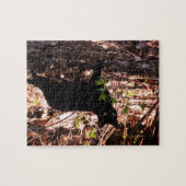 黒猫の写真 ジグソーパズル (横)