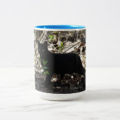 黒猫の写真 ツートーンマグカップ (中央)