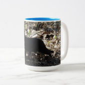 黒猫の写真 ツートーンマグカップ (正面右)