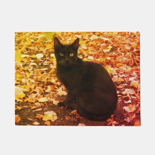 黒猫の写真 ドアマット (正面)