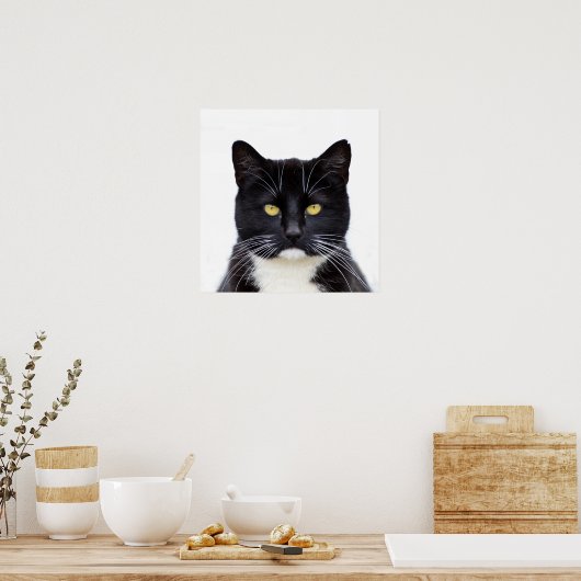黒猫の写真 ポスター (キッチン)