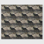 黒猫の写真 ラッピングペーパー (フラット)