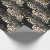 黒猫の写真 ラッピングペーパー (角)