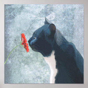 黒猫の嗅ぎ花 ポスター