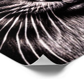 黒猫の四角いポスター ポスター (角)