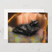 黒猫の夢 ポストカード (正面/裏面)