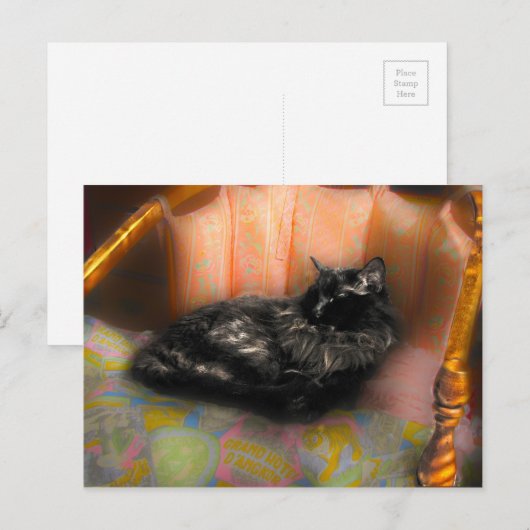 黒猫の夢 ポストカード (正面/裏面)