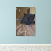 黒猫の子猫 キャンバスプリント (インサイチュ (ウッドフロア))
