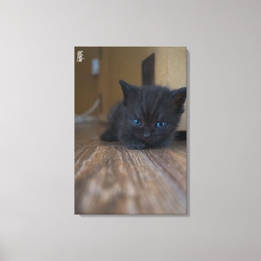 黒猫の子猫 キャンバスプリント (正面)