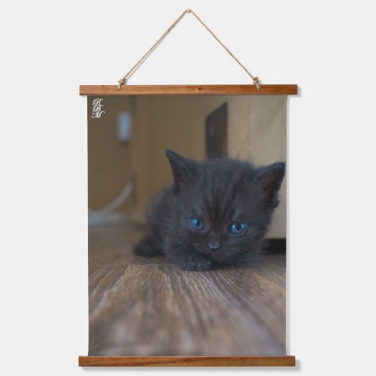 黒猫の子猫 吊り下げ型タペストリー (正面)