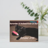黒猫の日 ポストカード (スタンド正面)